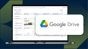 Google Drive and File Management System